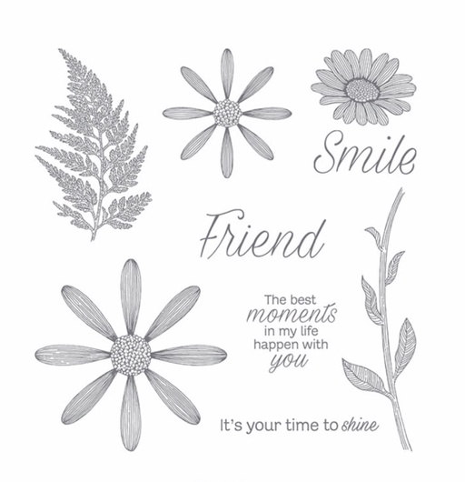 Daisy Lane Stamp Set Ink and Ingenuity